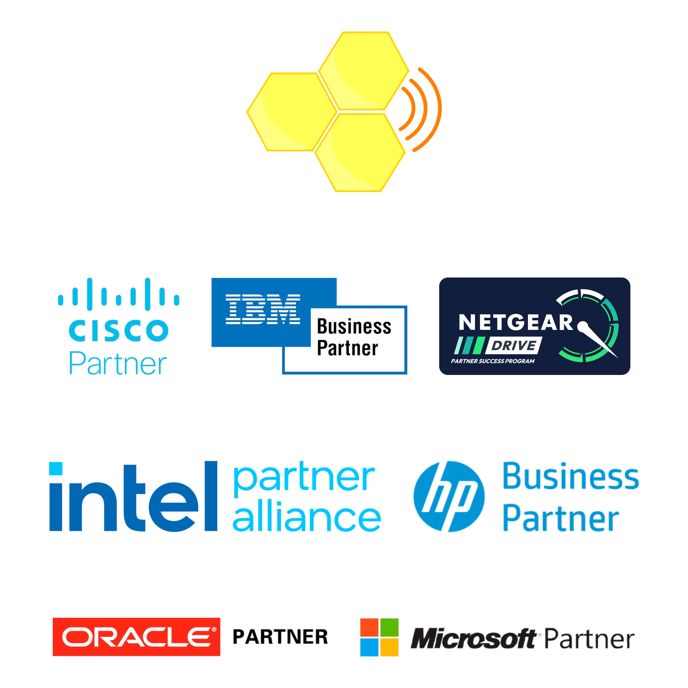 Cybernetic Solved technology partners